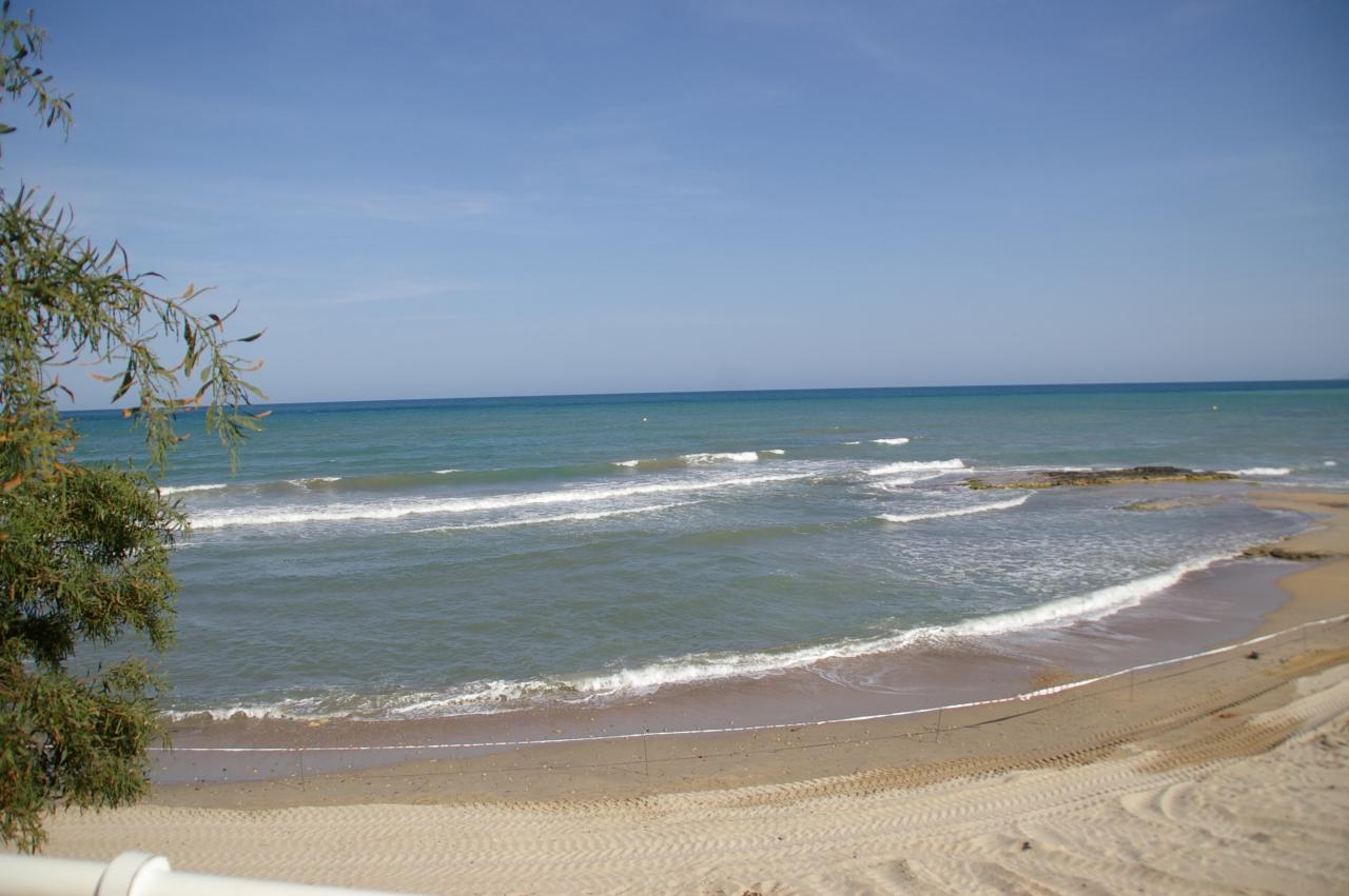 IMGP2585