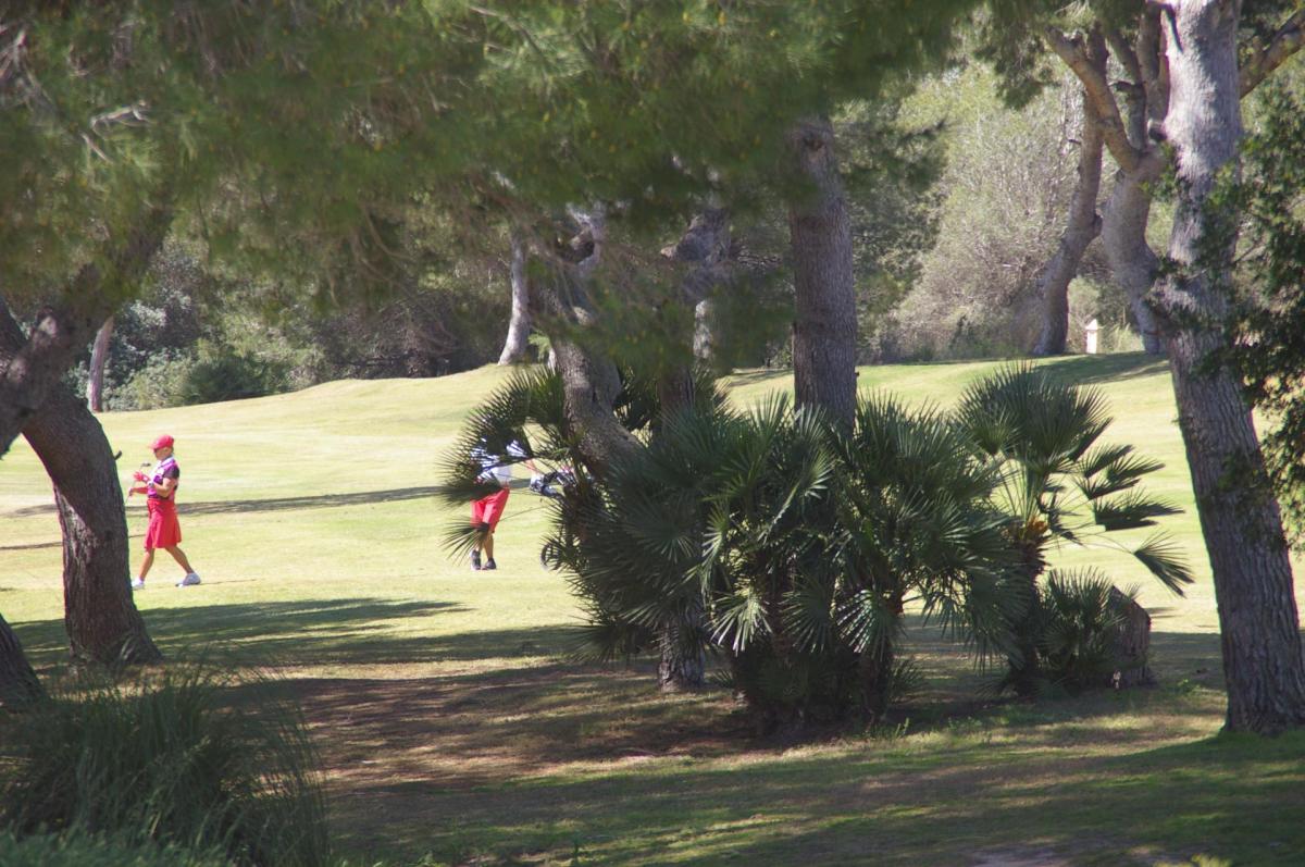 Golf3