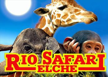Riosafari